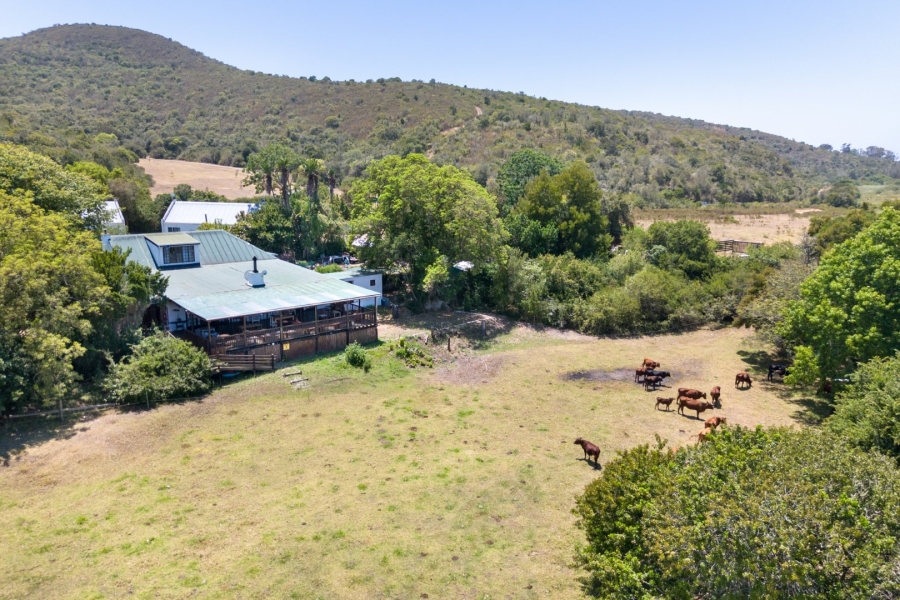 Commercial Property for Sale in Wittedrift Western Cape